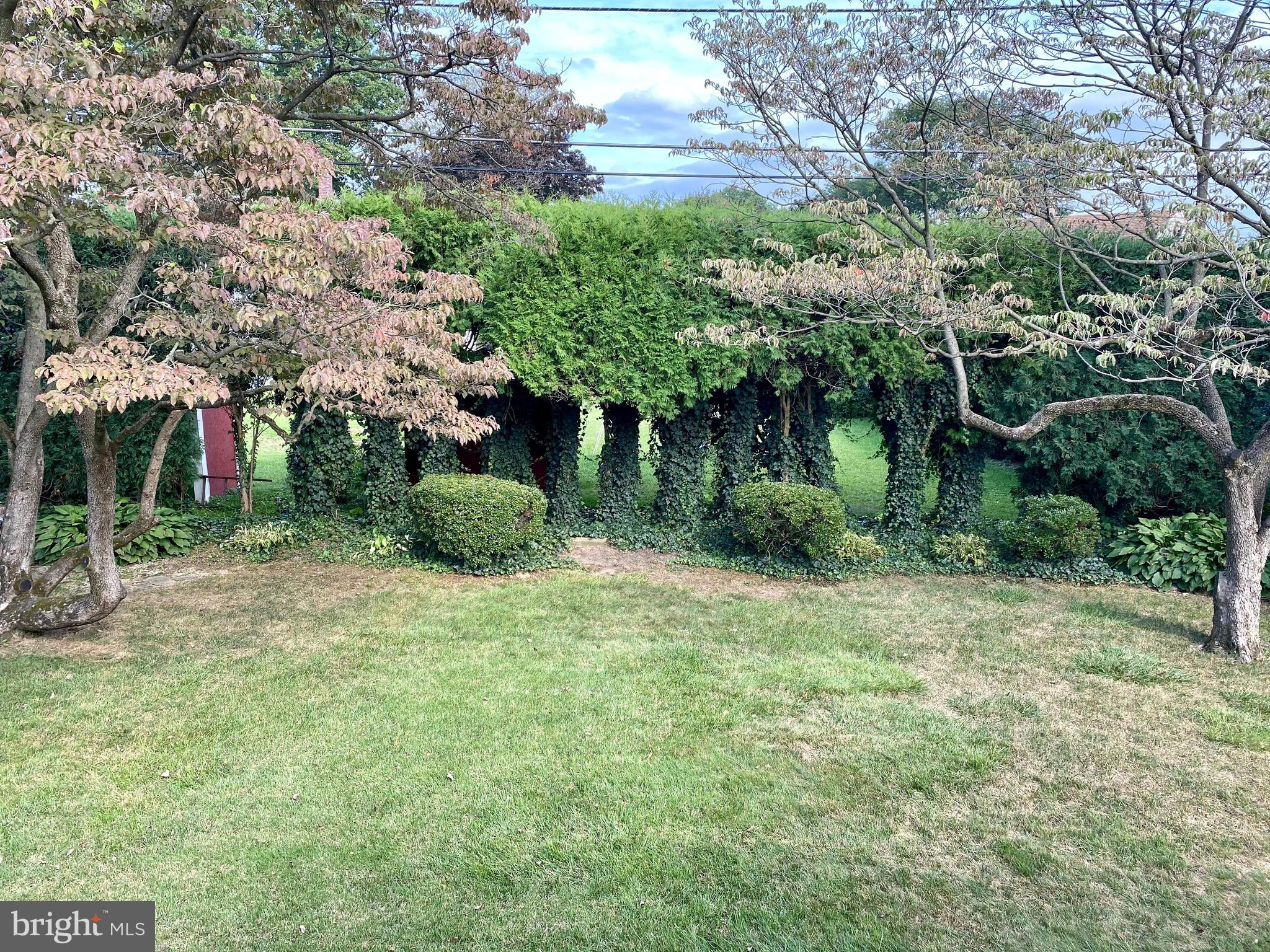 116 Eric Avenue Reading, PA 19607 - Photo 27 of 62 Rear Yard in Fall