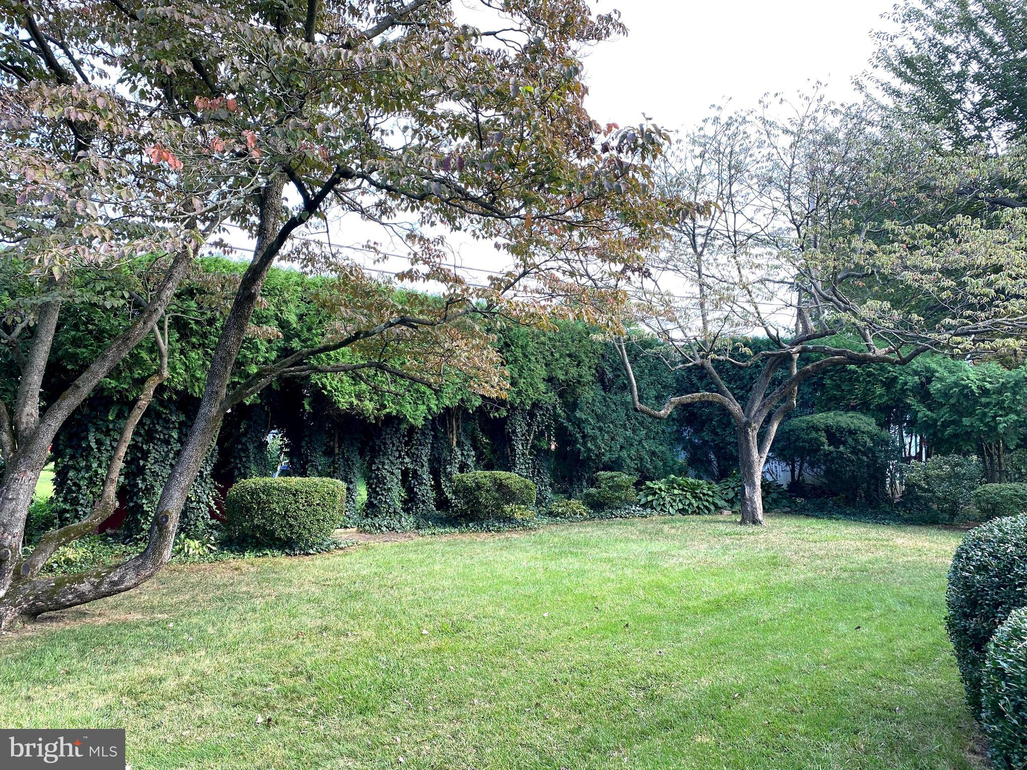 116 Eric Avenue Reading, PA 19607 - Photo 28 of 62 Rear Yard in Fall