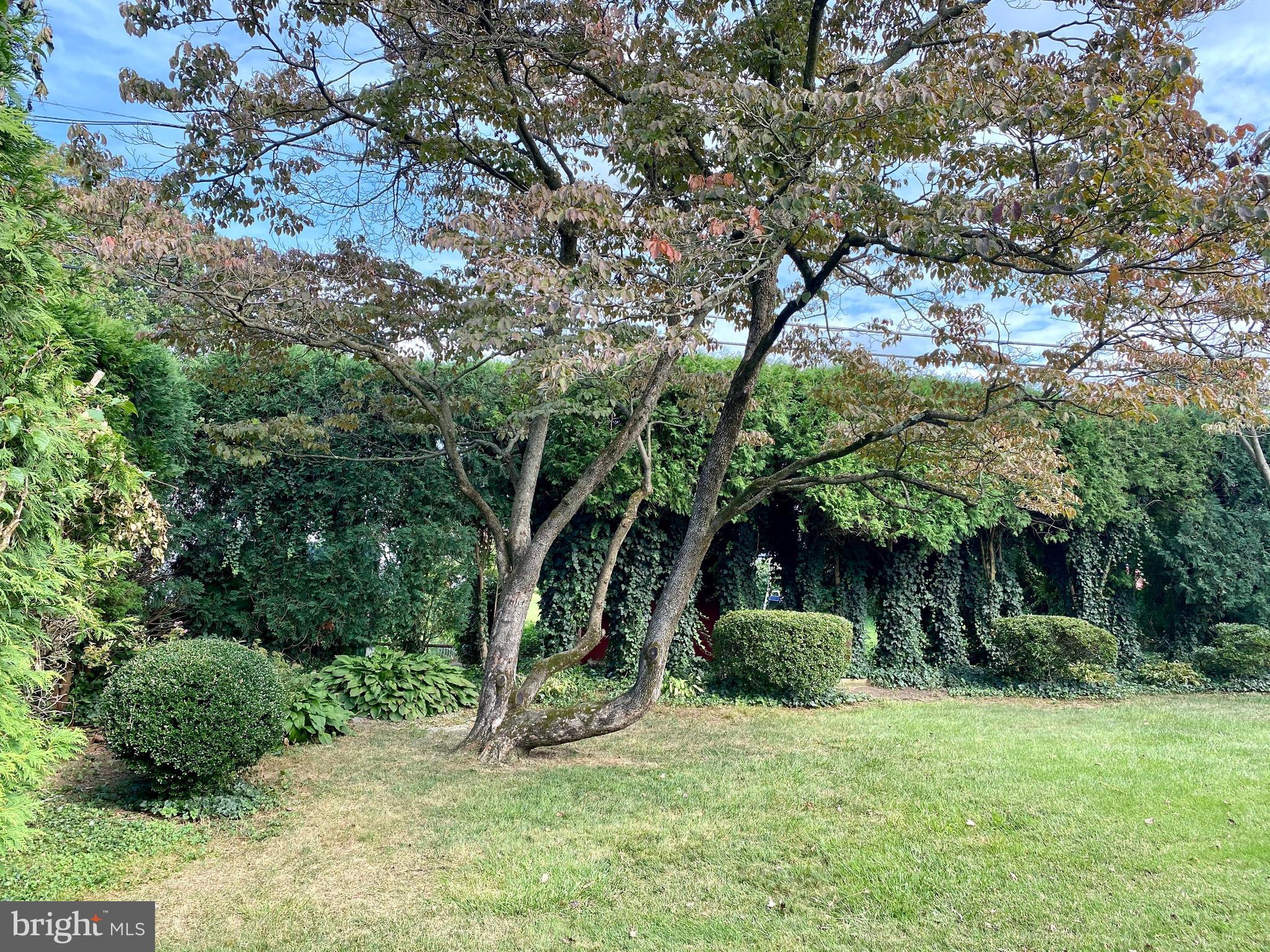 116 Eric Avenue Reading, PA 19607 - Photo 29 of 62 Private Back Yard