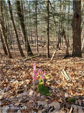 $184,000 | L25 Fischer Road, Kinderhook, NY 12106