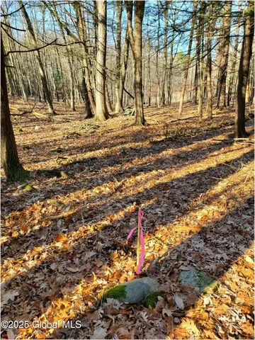 $184,000 | L25 Fischer Road, Kinderhook, NY 12106