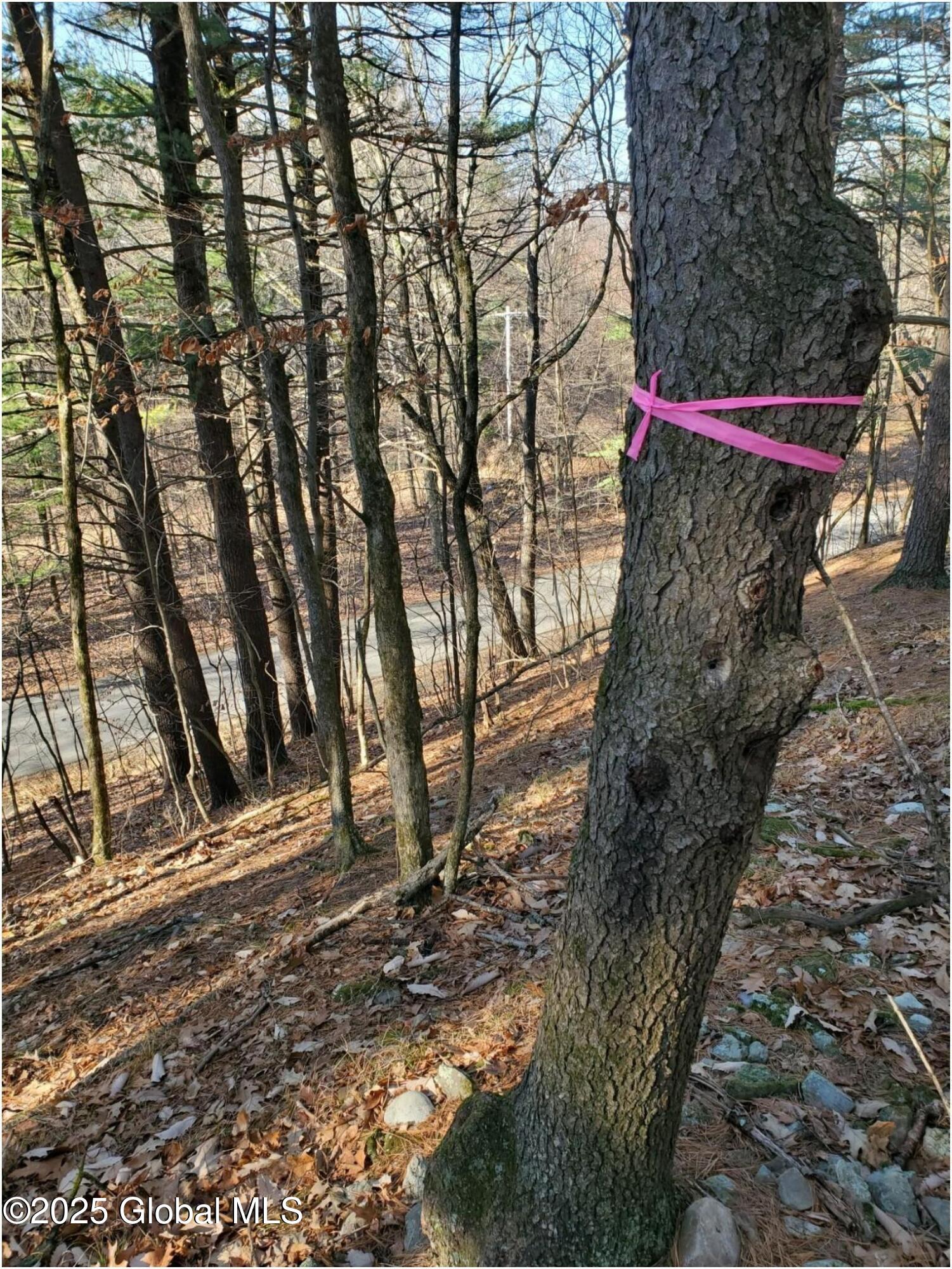 L25 Fischer Road Kinderhook, NY 12106 - Photo 14 of 30 Fischer Rd-PAT PHOTO 4