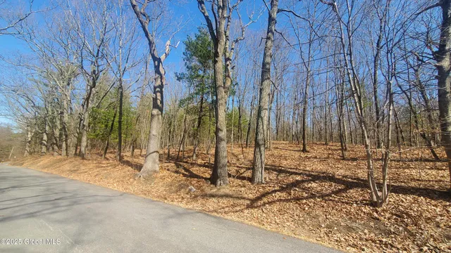 $184,000 | L25 Fischer Road, Kinderhook, NY 12106