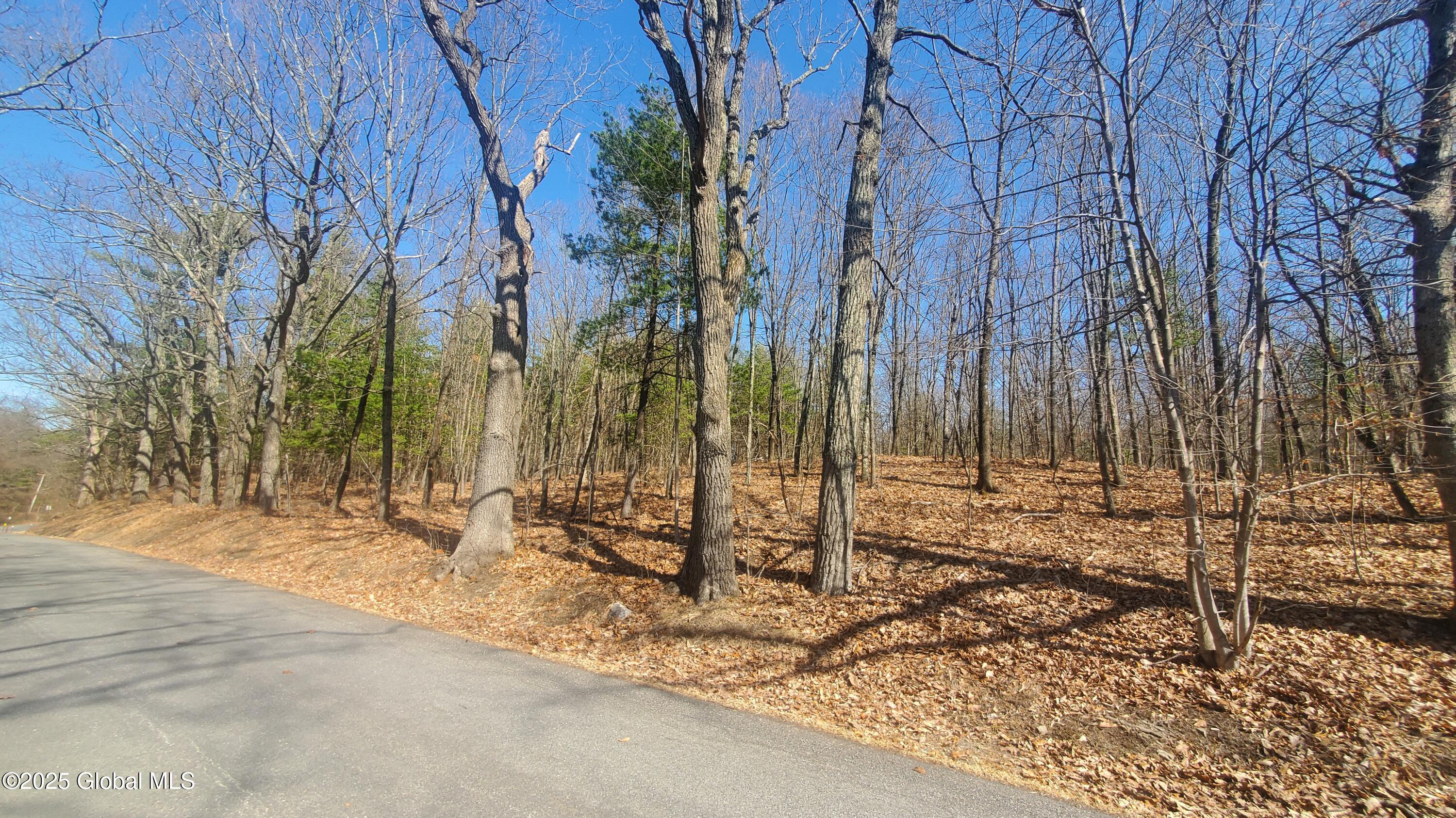 L25 Fischer Road Kinderhook, NY 12106 - Photo 15 of 30 LOTS OF OPTIONS