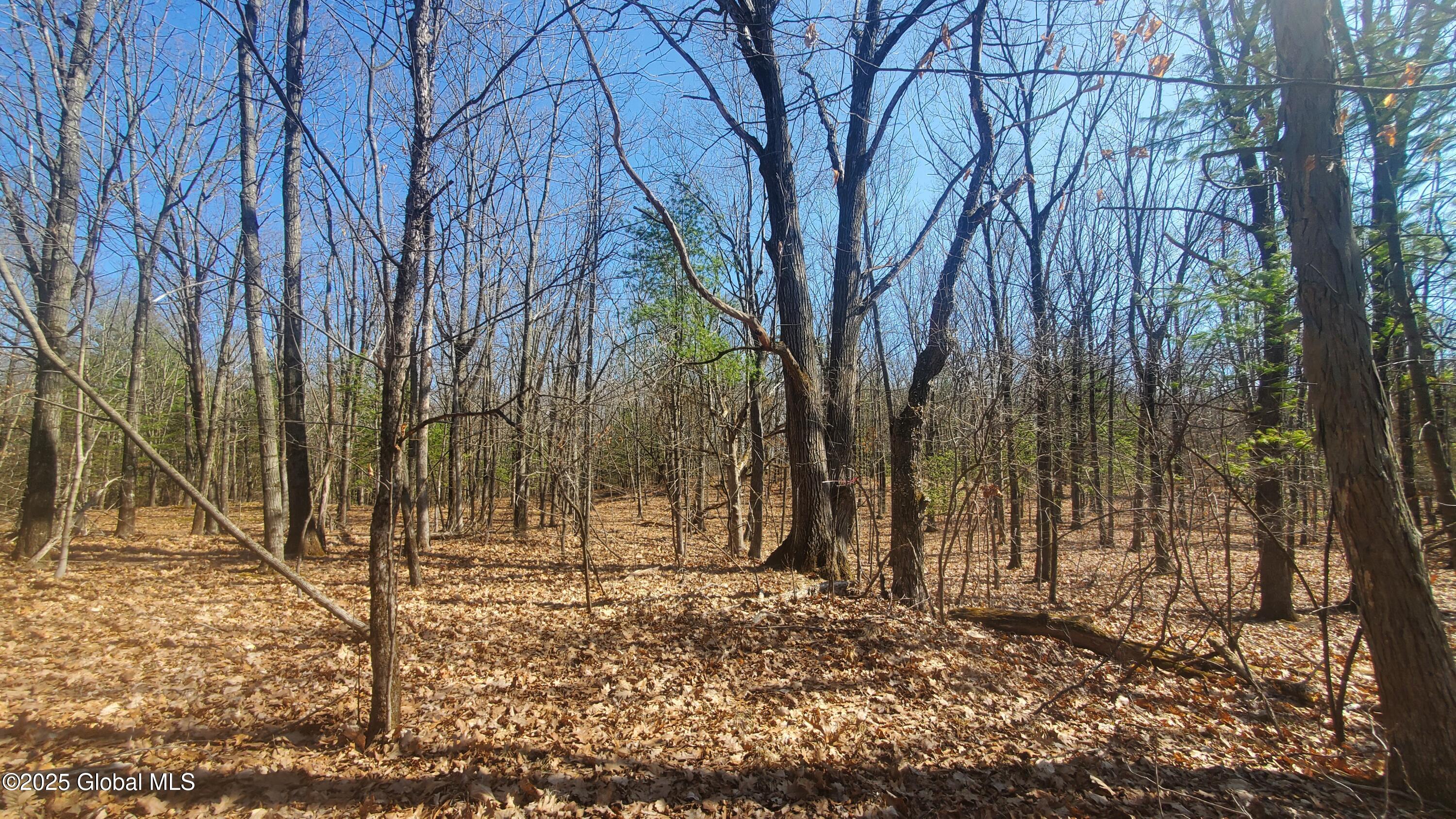 L25 Fischer Road Kinderhook, NY 12106 - Photo 16 of 30 LOTS OF OPTIONS