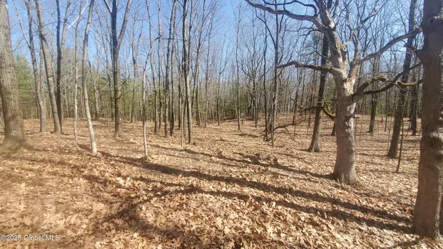 $184,000 | L25 Fischer Road, Kinderhook, NY 12106