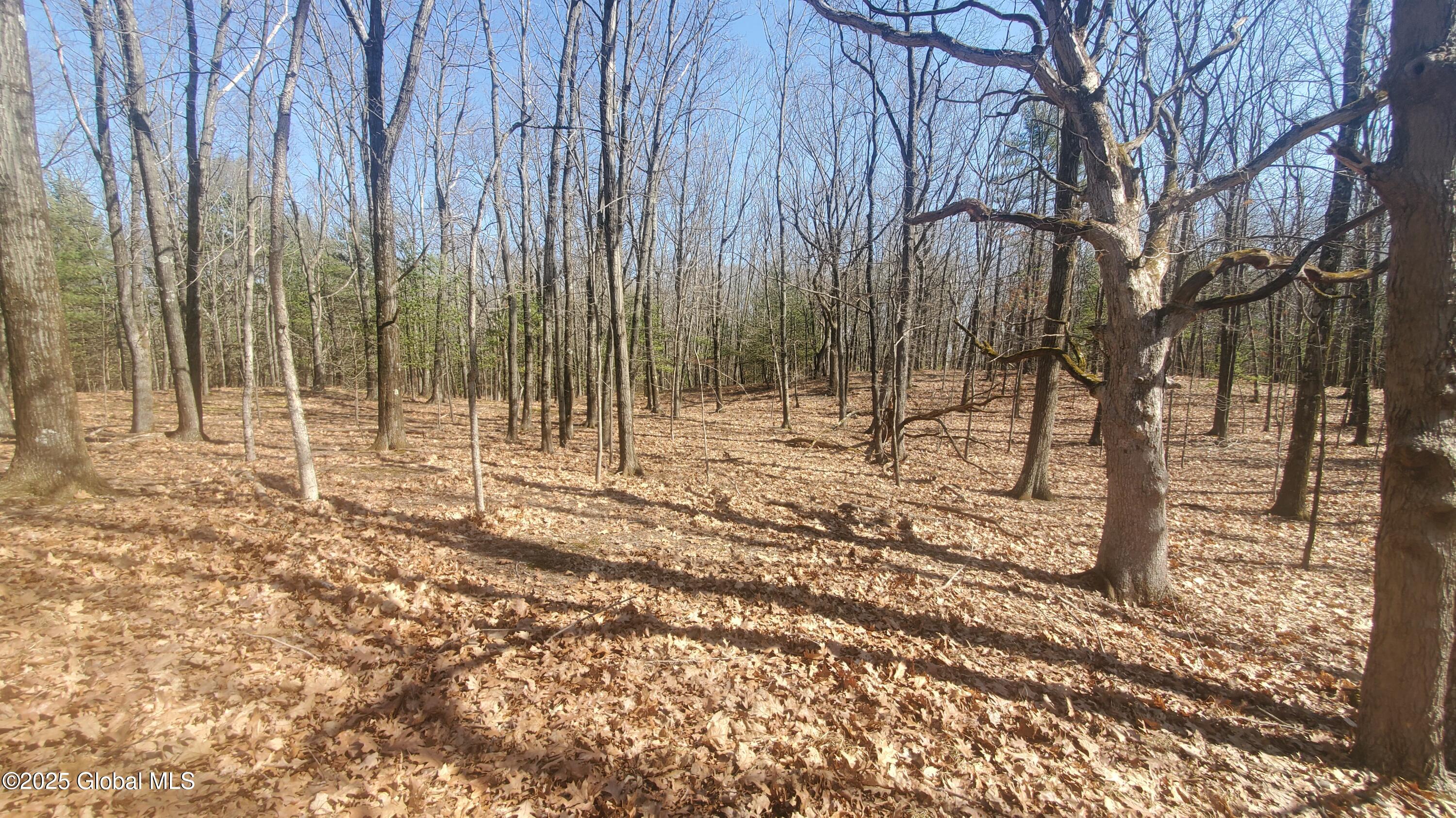 L25 Fischer Road Kinderhook, NY 12106 - Photo 17 of 30 LOTS OF OPTIONS