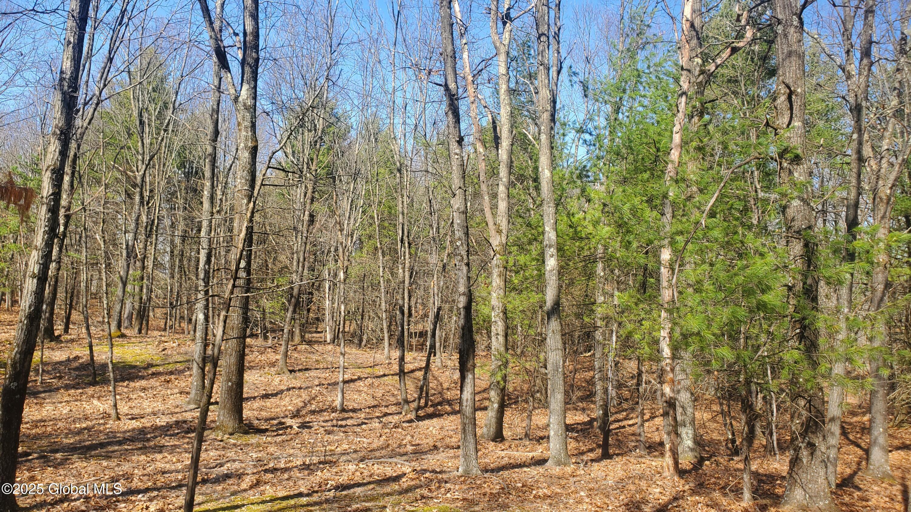 L25 Fischer Road Kinderhook, NY 12106 - Photo 18 of 30 LOTS OF OPTIONS