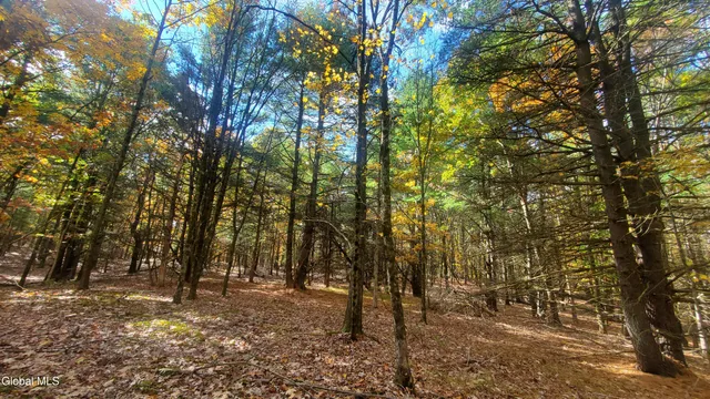 $184,000 | L25 Fischer Road, Kinderhook, NY 12106