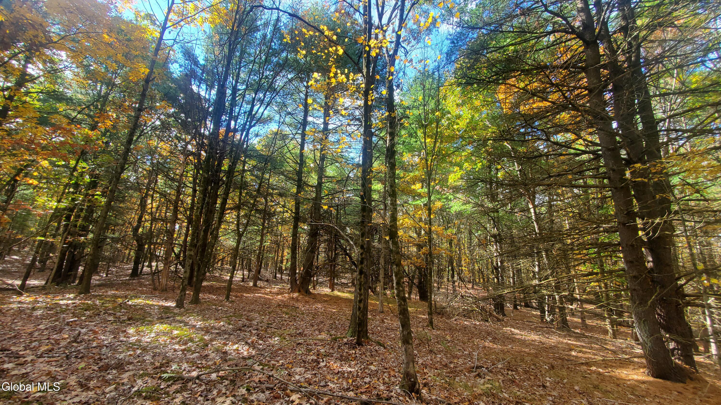 L25 Fischer Road Kinderhook, NY 12106 - Photo 2 of 30 PRIVATE AND ACCESSIBLE