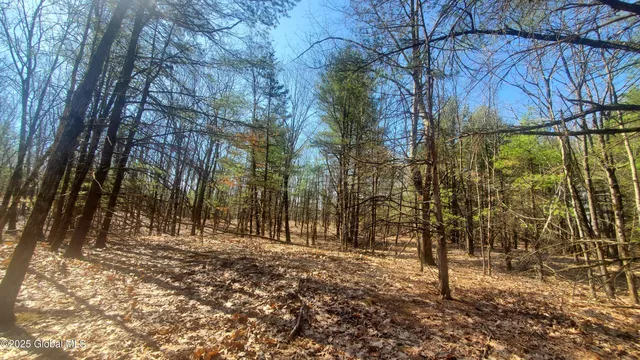 $184,000 | L25 Fischer Road, Kinderhook, NY 12106