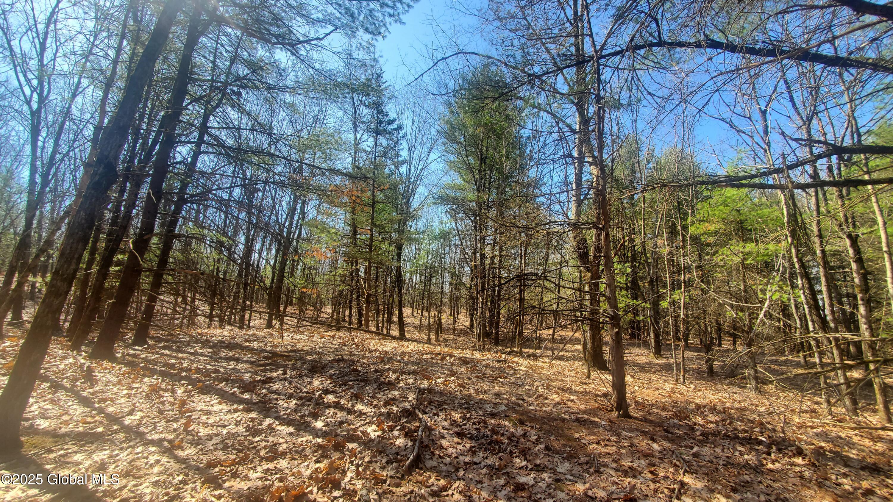 L25 Fischer Road Kinderhook, NY 12106 - Photo 24 of 30 WINTER VIEW