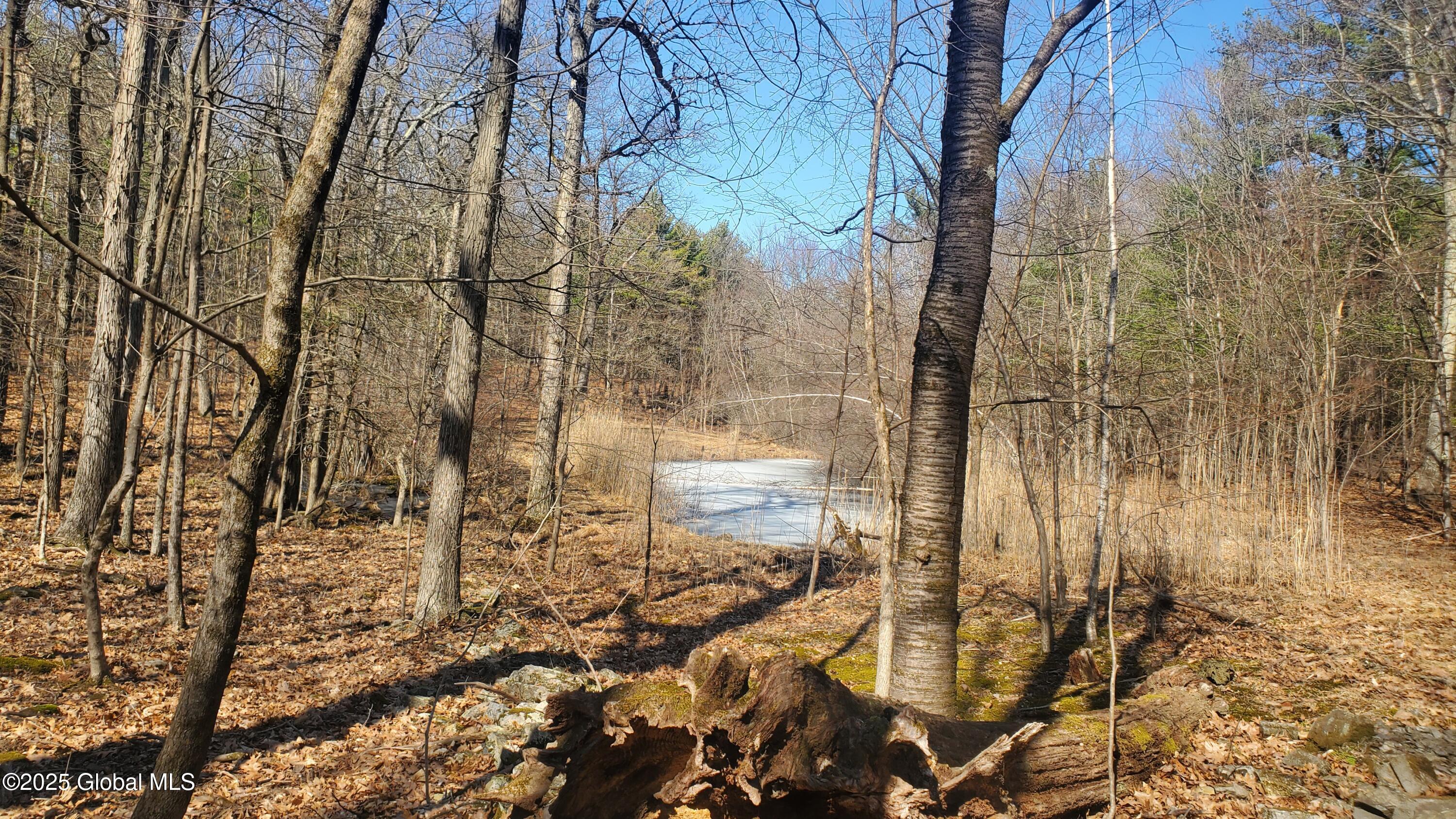 L25 Fischer Road Kinderhook, NY 12106 - Photo 25 of 30 POND VIEW