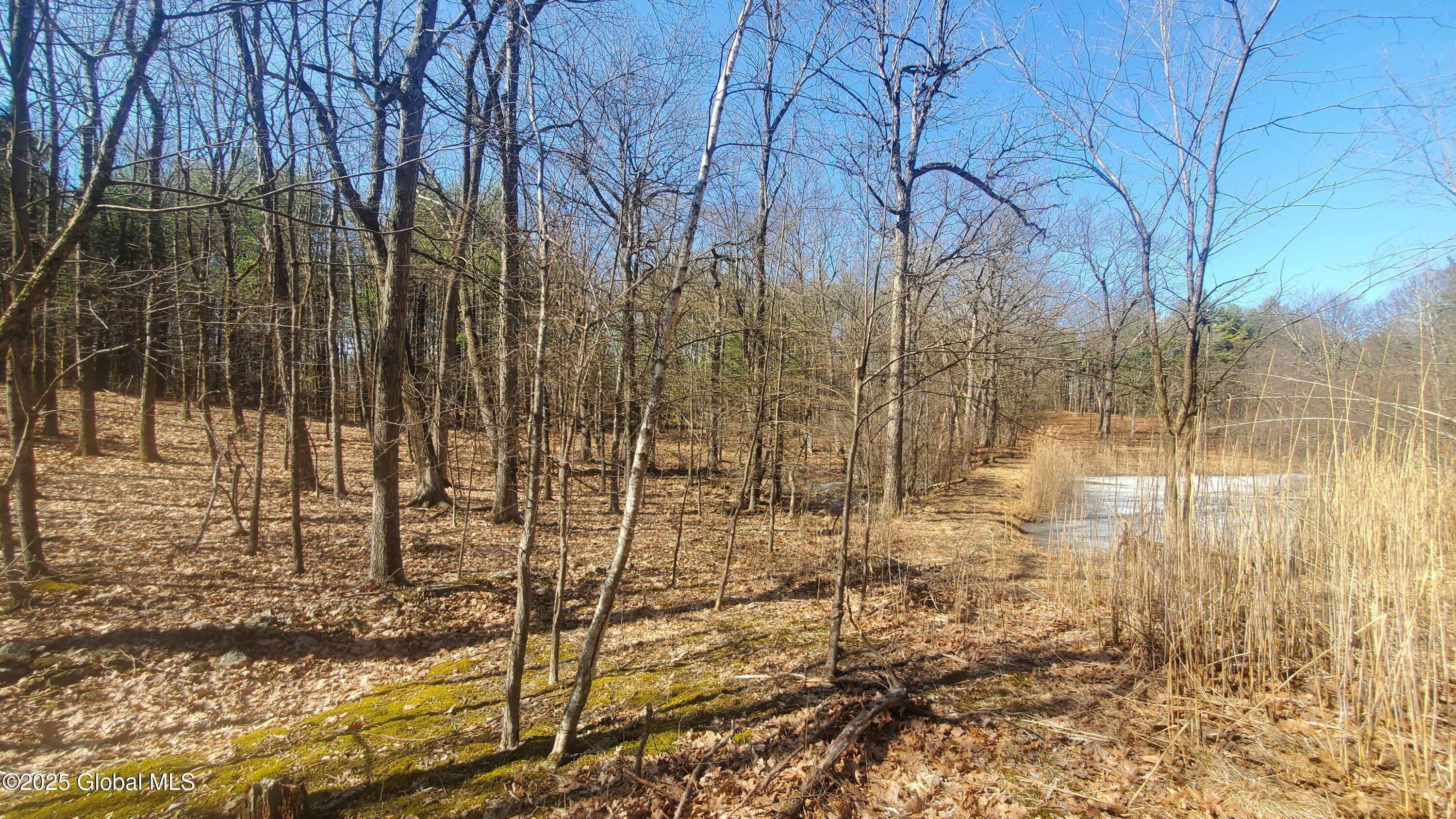 L25 Fischer Road Kinderhook, NY 12106 - Photo 26 of 30 POND VIEW-WINTER