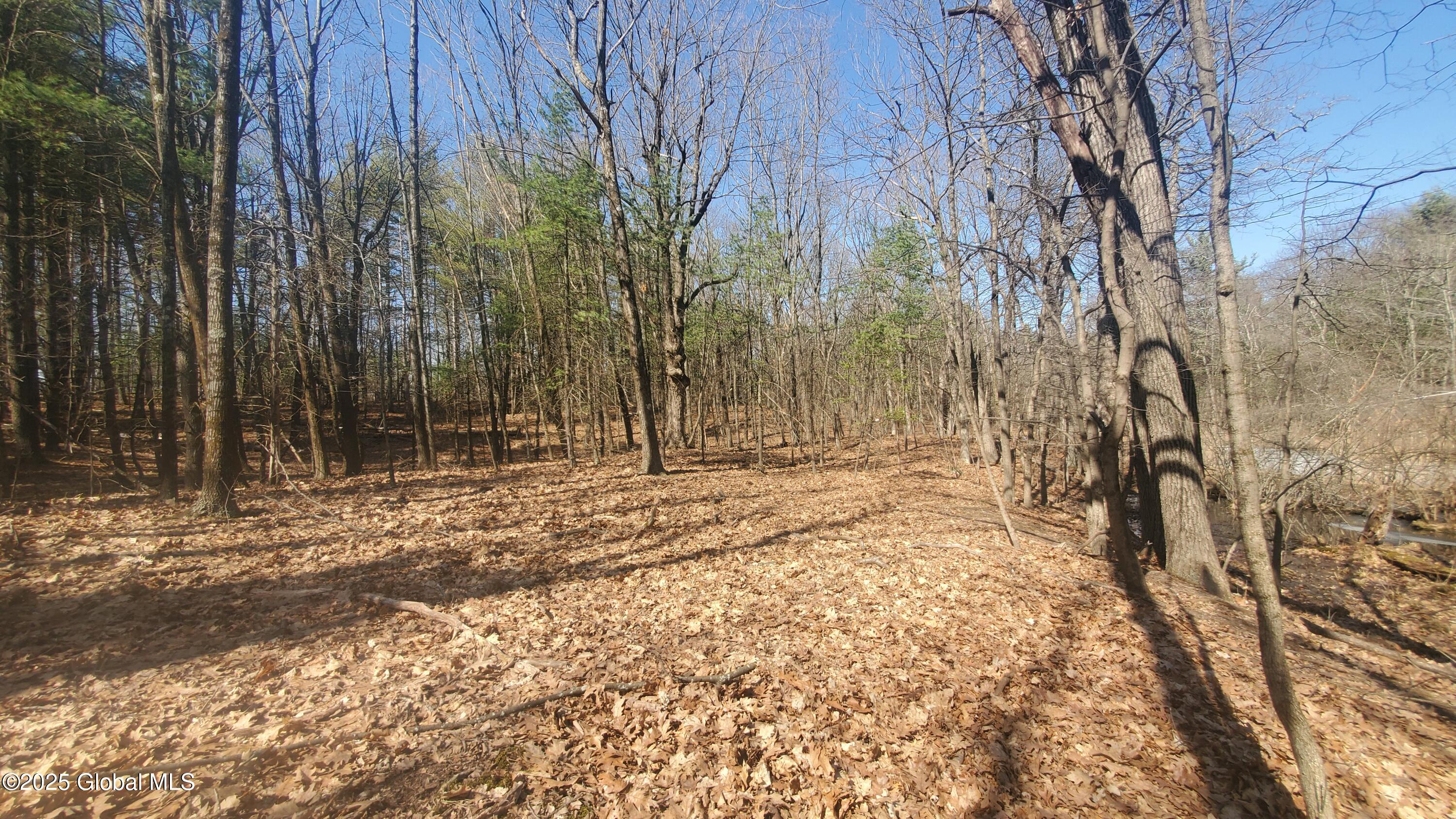 L25 Fischer Road Kinderhook, NY 12106 - Photo 27 of 30 WINTER VIEW