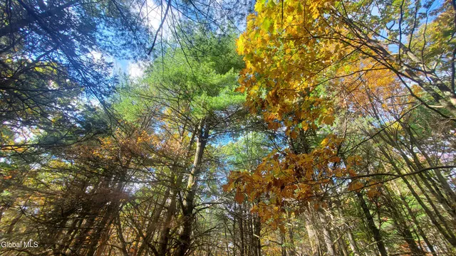 $184,000 | L25 Fischer Road, Kinderhook, NY 12106