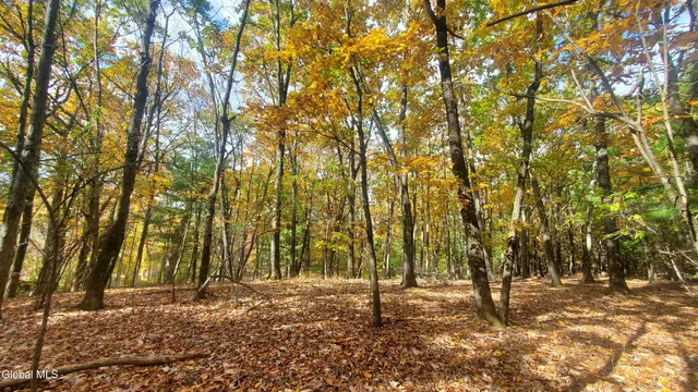 $184,000 | L25 Fischer Road, Kinderhook, NY 12106