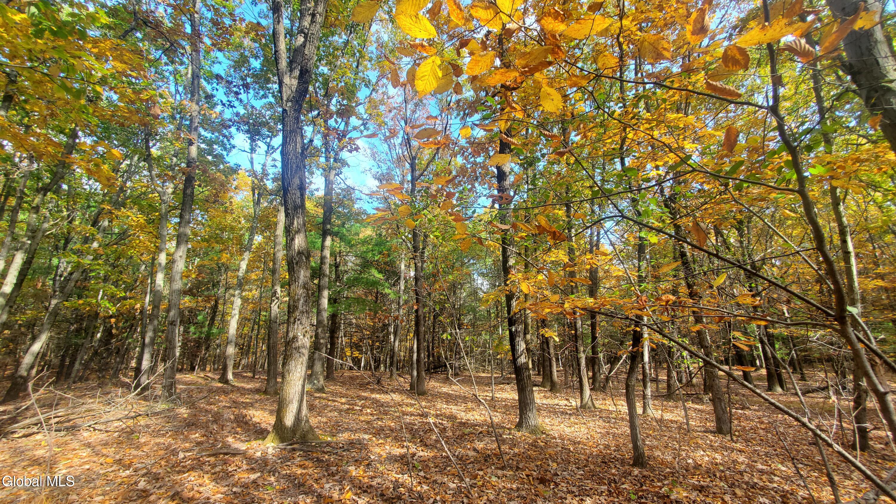 L25 Fischer Road Kinderhook, NY 12106 - Photo 6 of 30 PRIVATE