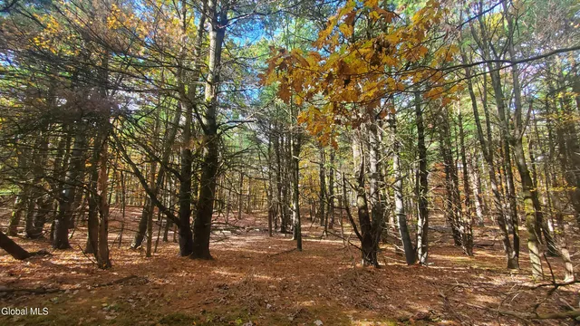 $184,000 | L25 Fischer Road, Kinderhook, NY 12106