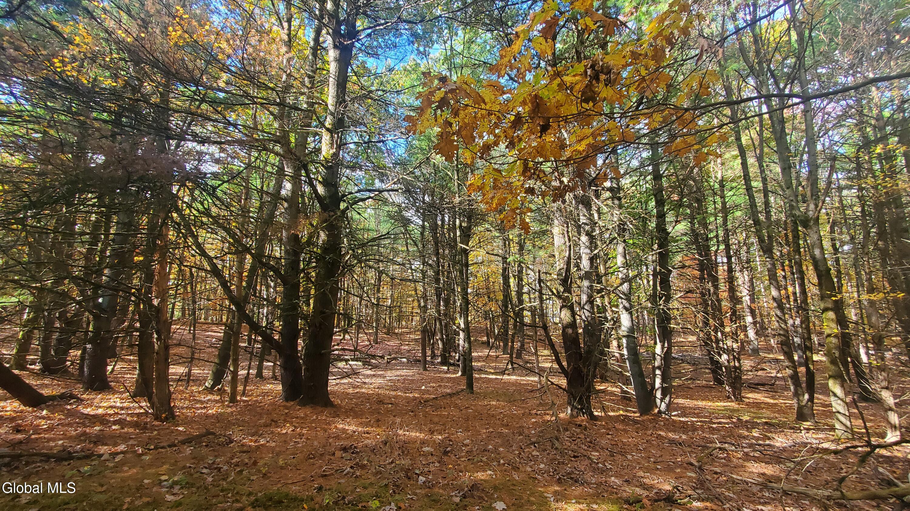 L25 Fischer Road Kinderhook, NY 12106 - Photo 8 of 30 LOTS OF OPTIONS