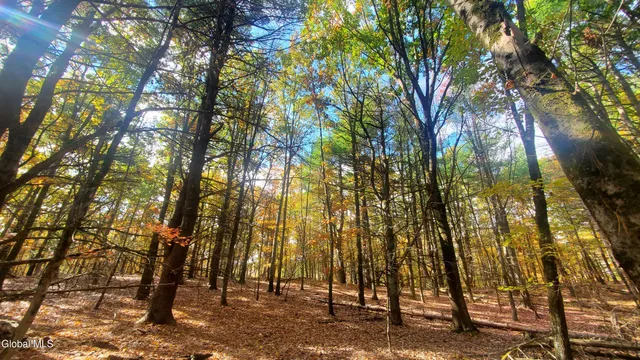 $184,000 | L25 Fischer Road, Kinderhook, NY 12106