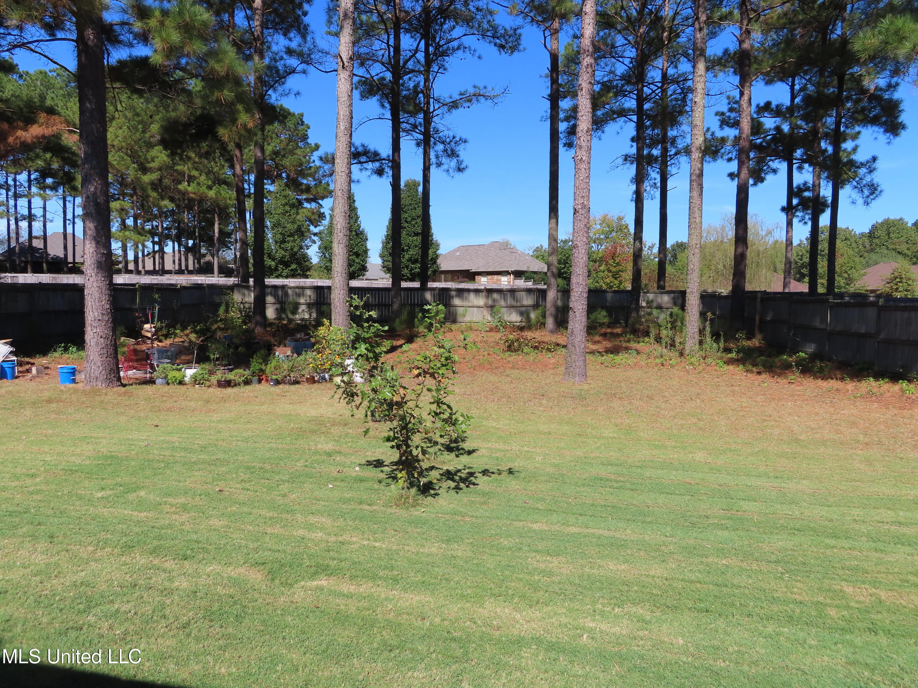 144 Mason Way Madison, MS 39110 - Photo 19 of 24 IMG_2533