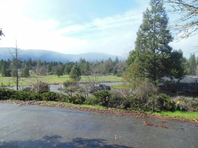 1275 Laurel Road Cave Junction, OR 97523 - Photo 4 of 16 Additional Photo