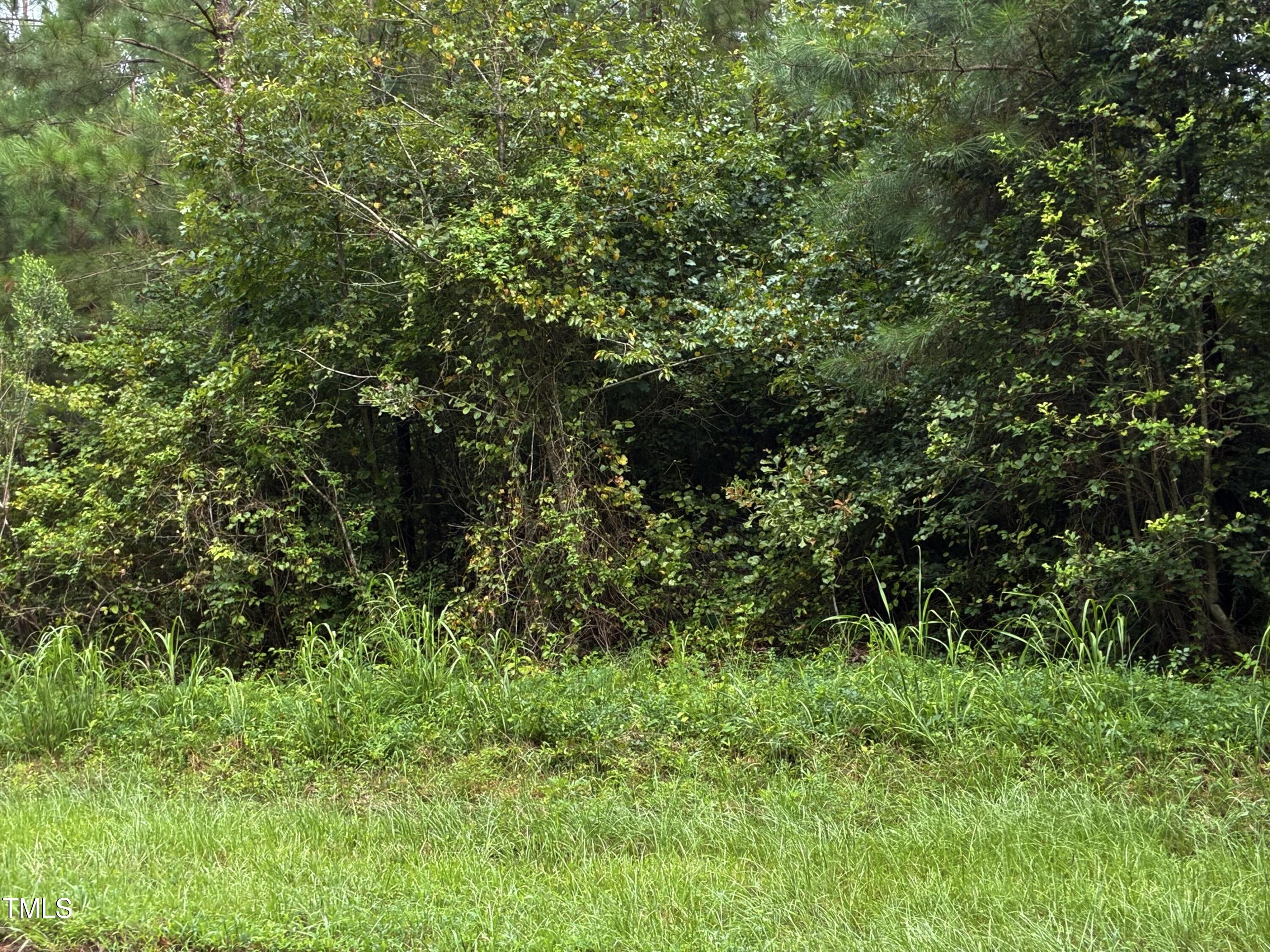 0 Briggs Road Cameron, NC 28326 - Photo 2 of 4 a view of a lush green forest