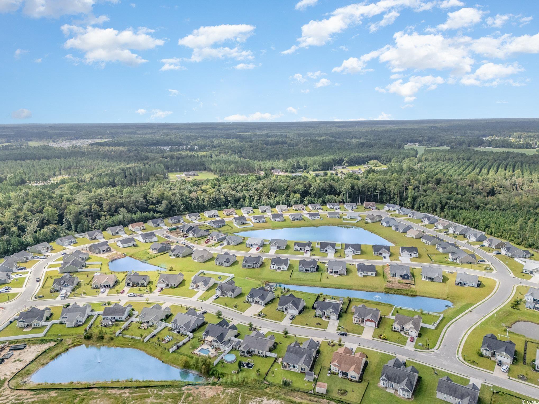 150 Springtide Drive Conway, SC 29527 - Photo 33 of 36 Drone / aerial view with a water view