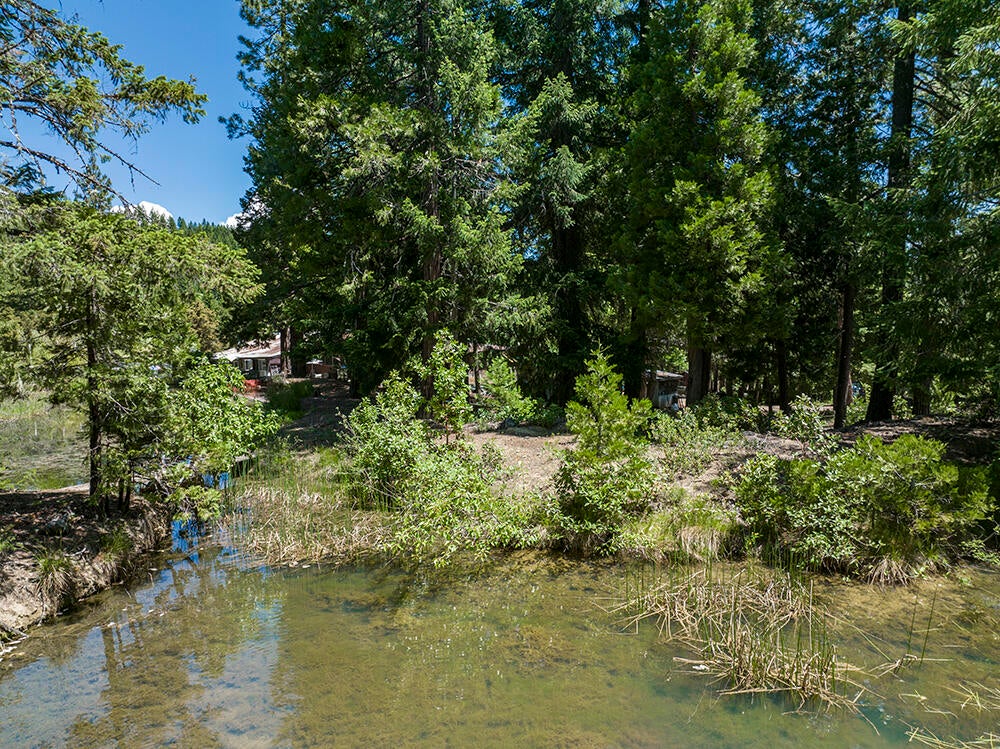 10000 Placer Road Grants Pass, OR 97526 - Photo 44 of 56 43