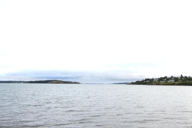 43 County Road Lubec, ME 04652 - Photo 12 of 17 IMG_0151