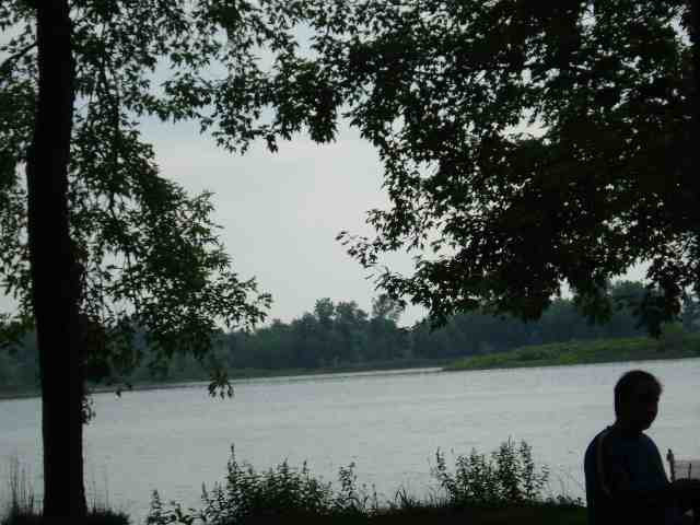 11836 Beech Road Brooklyn, MI 49230 - Photo 2 of 11 Photo 2