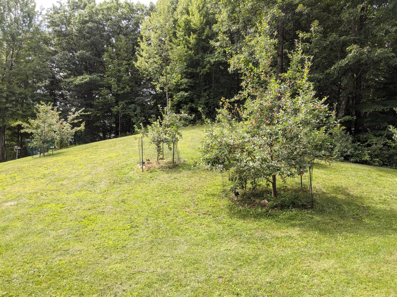 W7374 South Minnow Lake Road Phillips, WI 54555 - Photo 25 of 30 Gallery Image 25