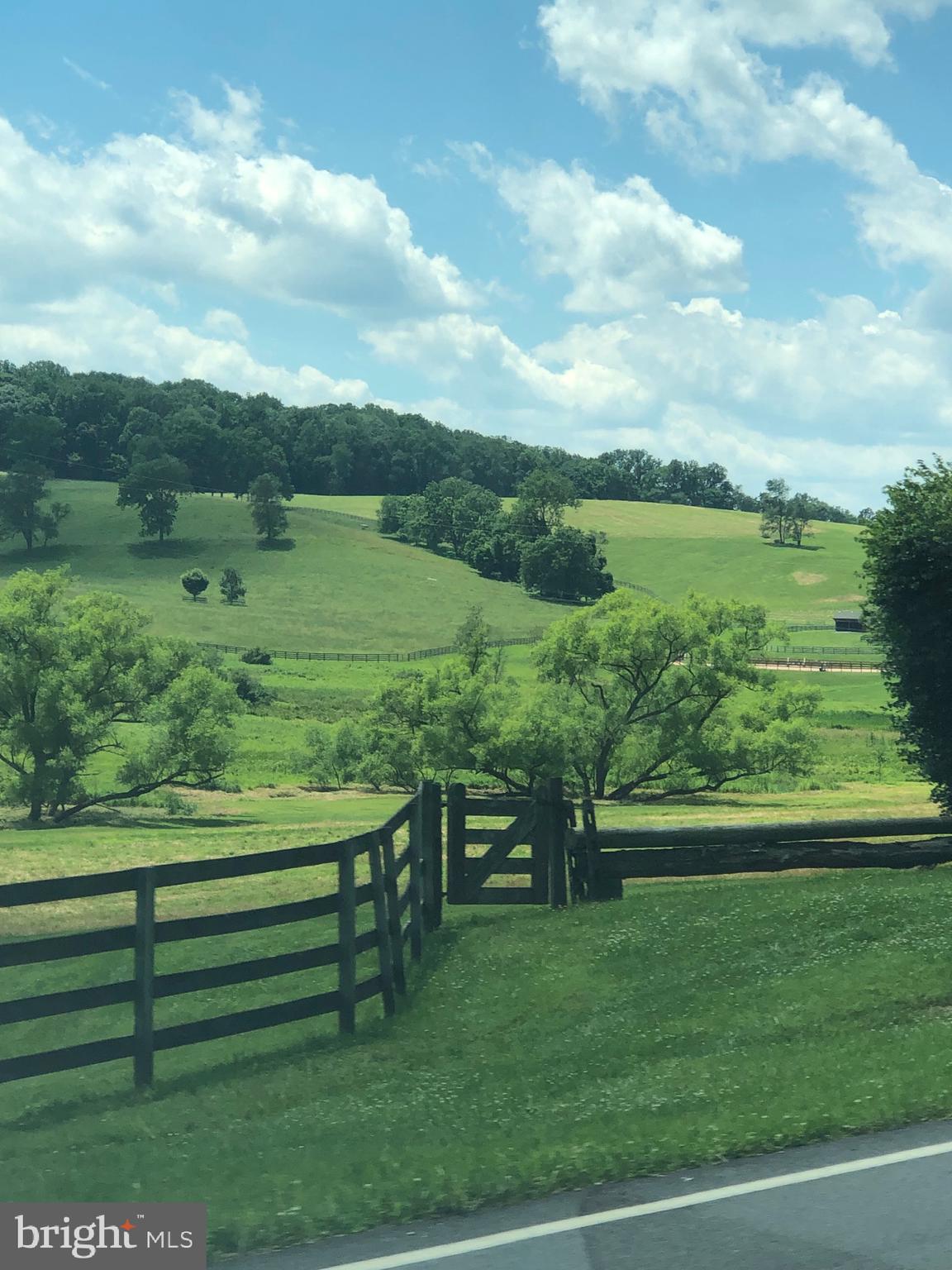 14872 Loyalty Road Waterford, VA 20197 - Photo 3 of 8