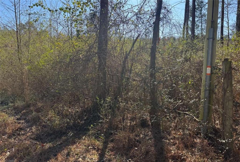 0 Norton Road Kingston, GA 30145 - Photo 2 of 6 a view of a forest that has a tree