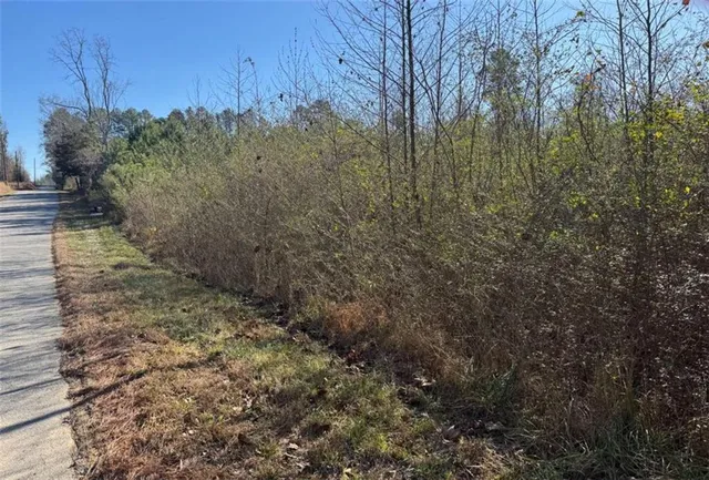 a view of a yard with trees