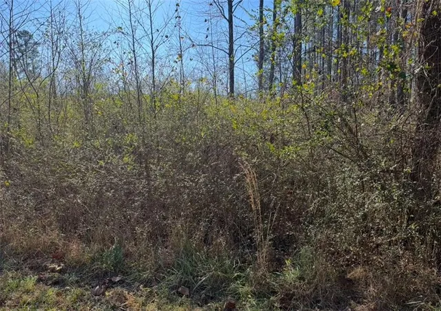 $115,000 | 0 Norton Road, Kingston, GA 30145