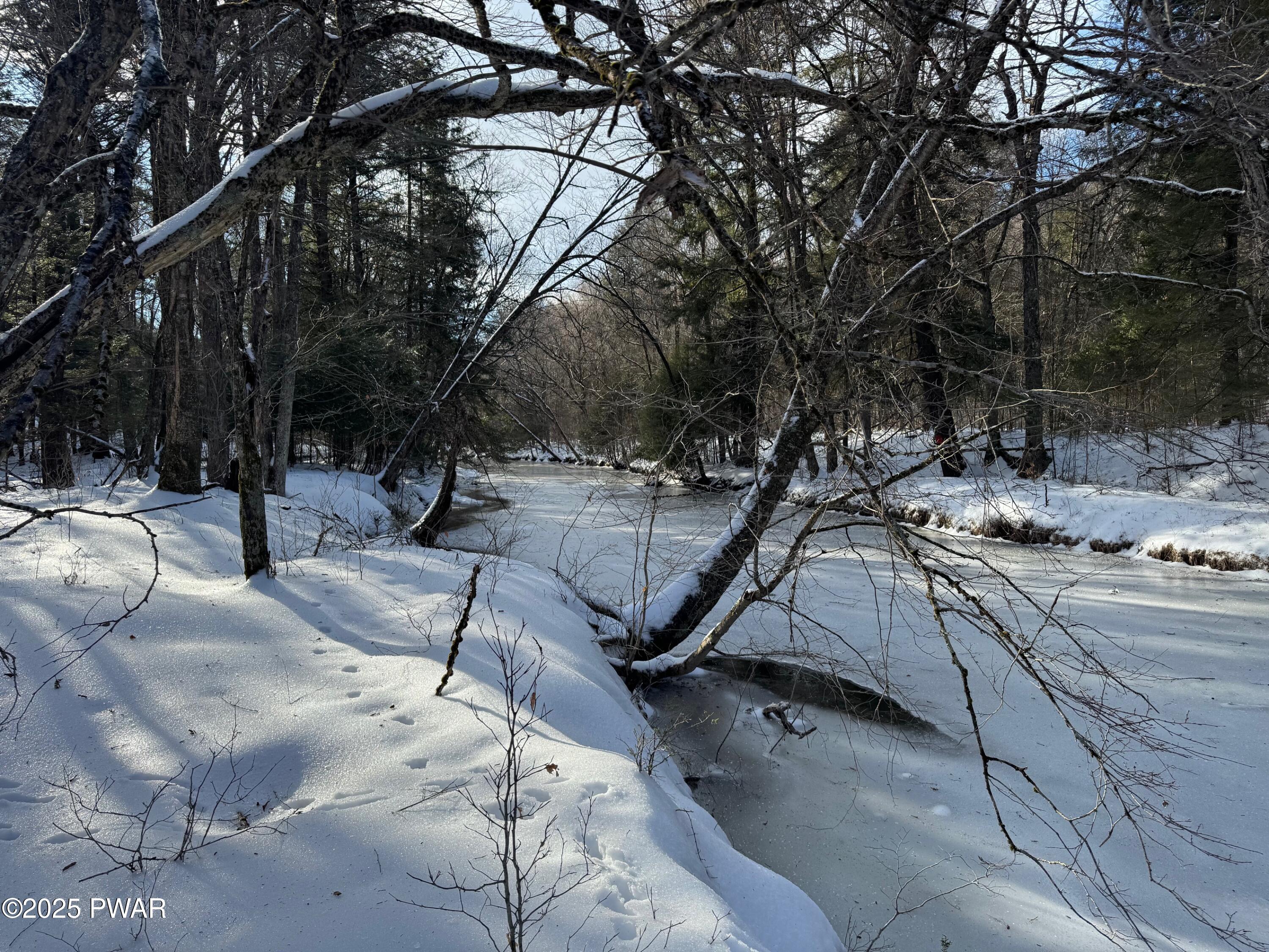Davis Road Beach Lake, PA 18405 - Photo 4 of 12