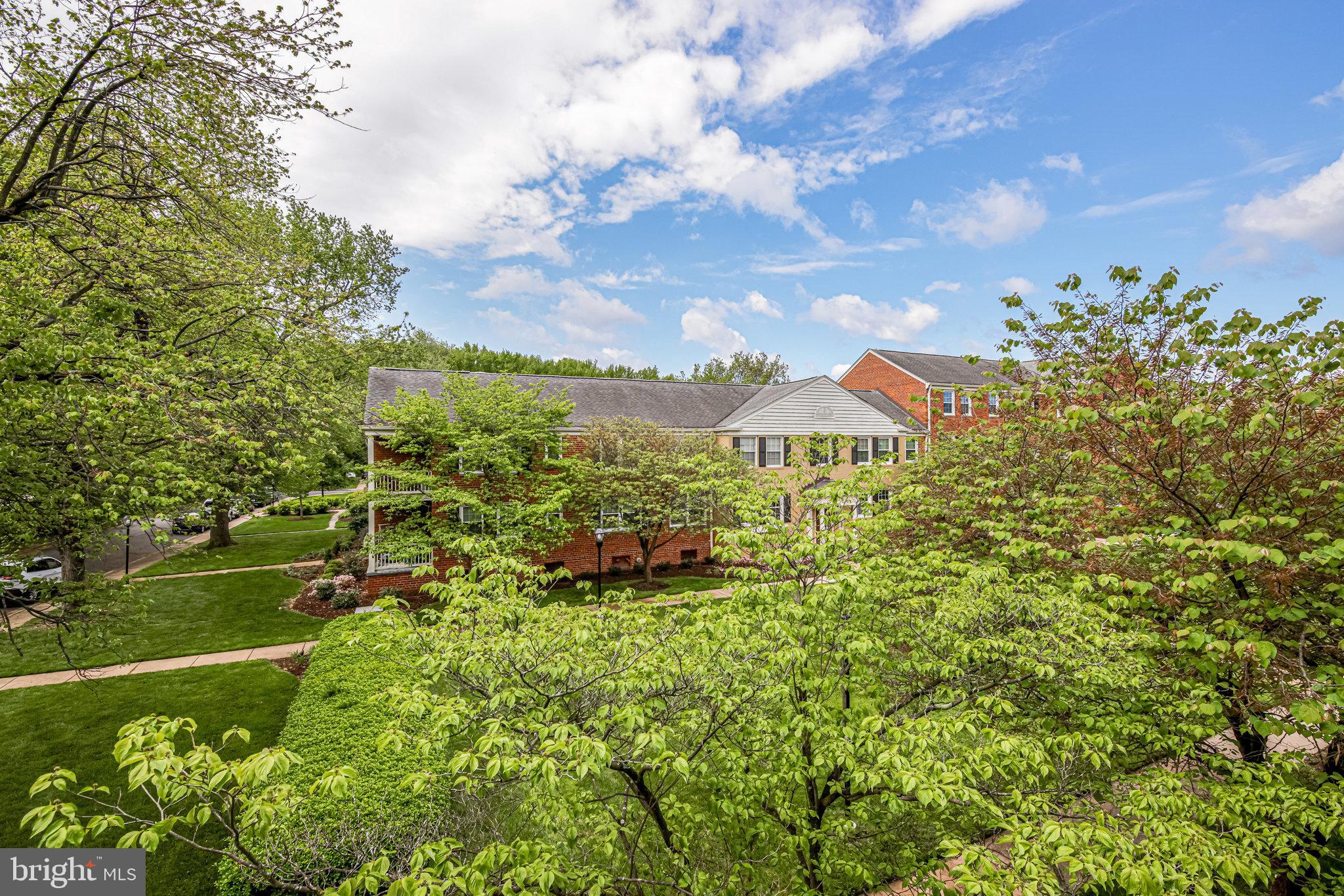 6614 Boulevard View, Unit B1 Alexandria, VA 22307 - Photo 52 of 53