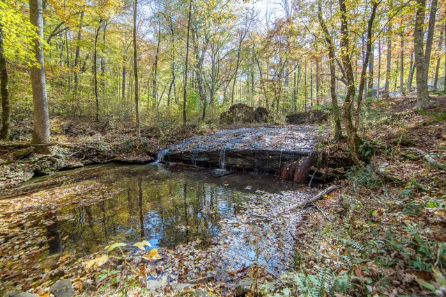a view of swimming pool with a yard