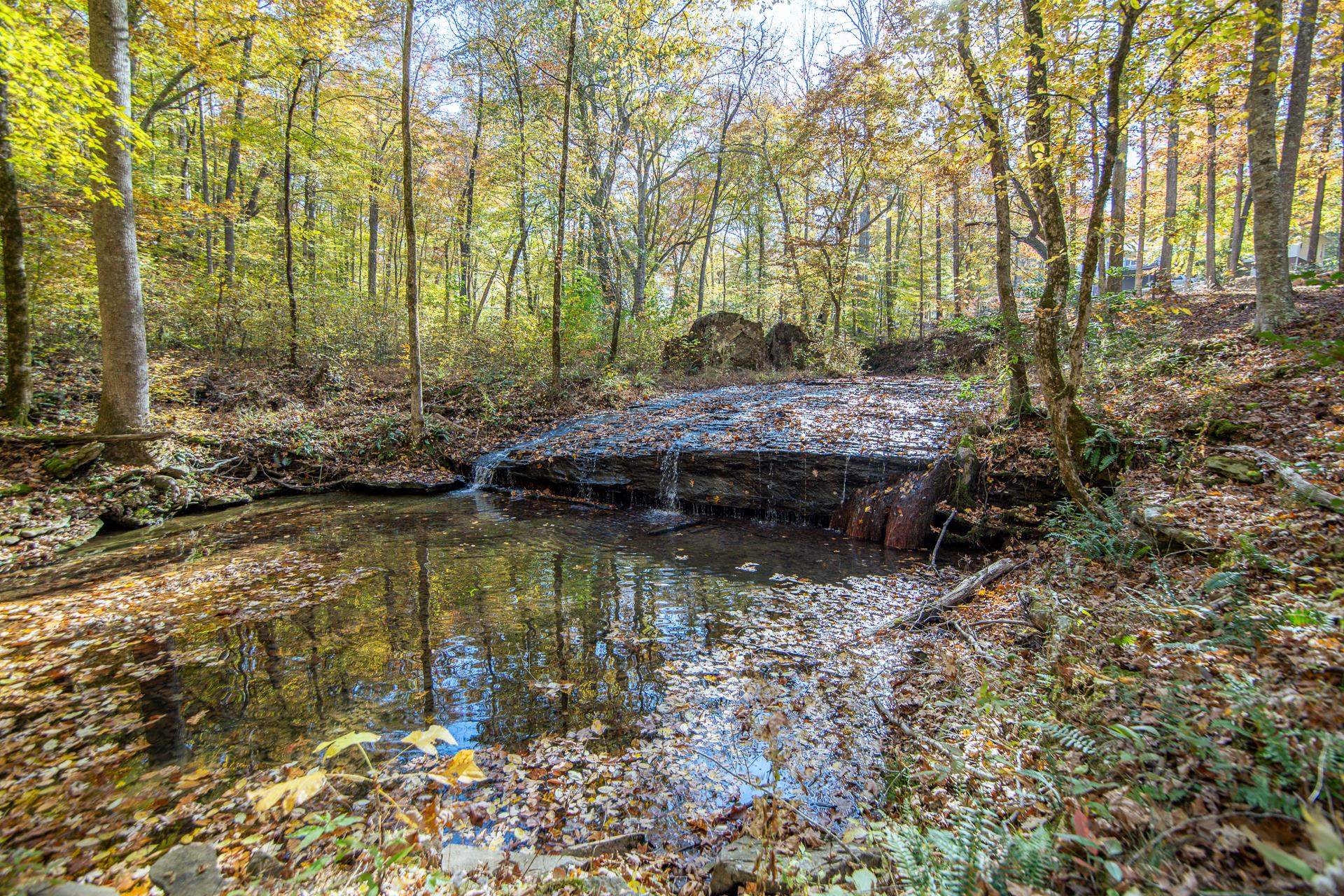 2411 Keazey Hollow Road Waynesboro, TN 38485 - Photo 25 of 34