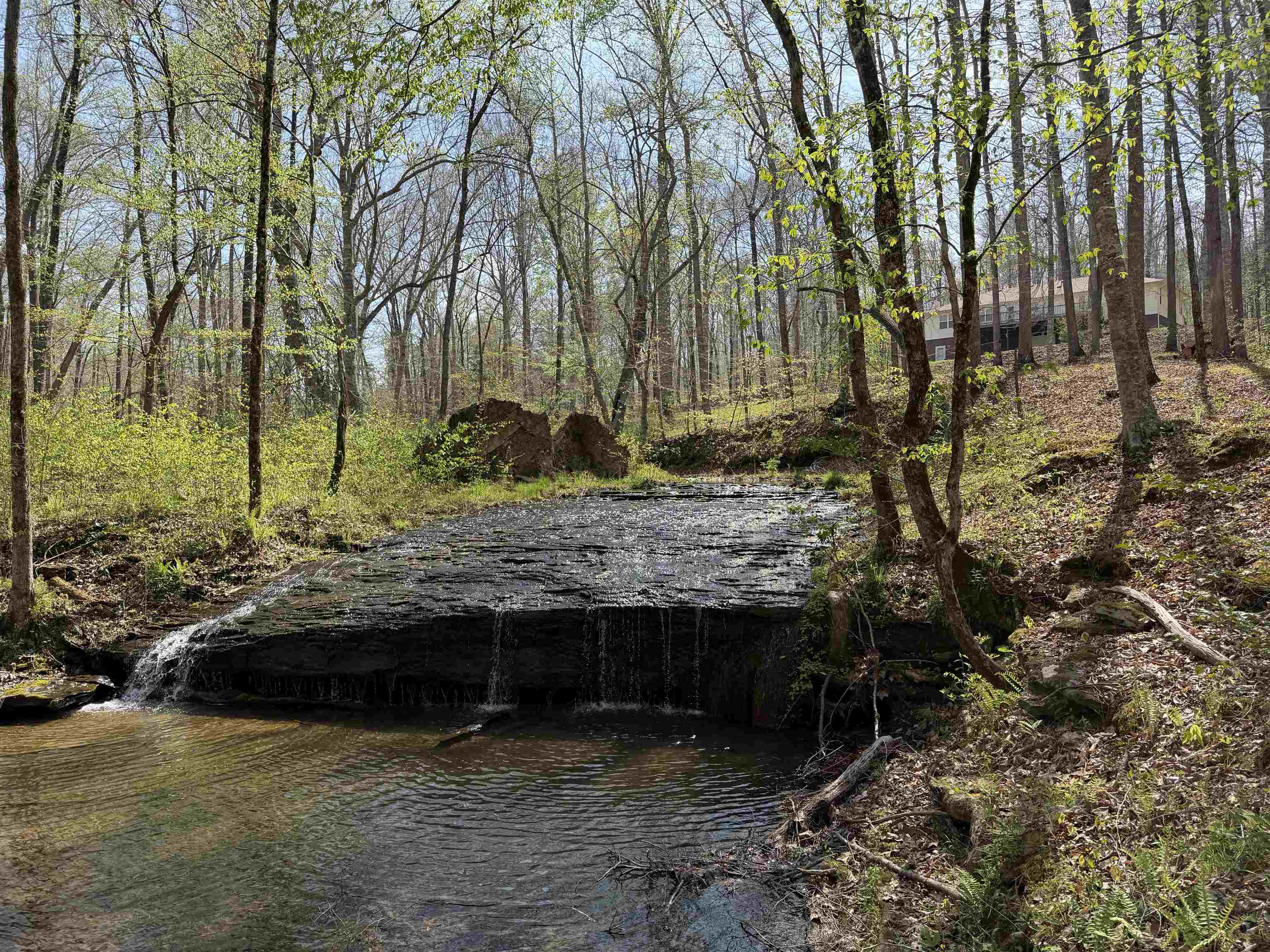 2411 Keazey Hollow Road Waynesboro, TN 38485 - Photo 30 of 38