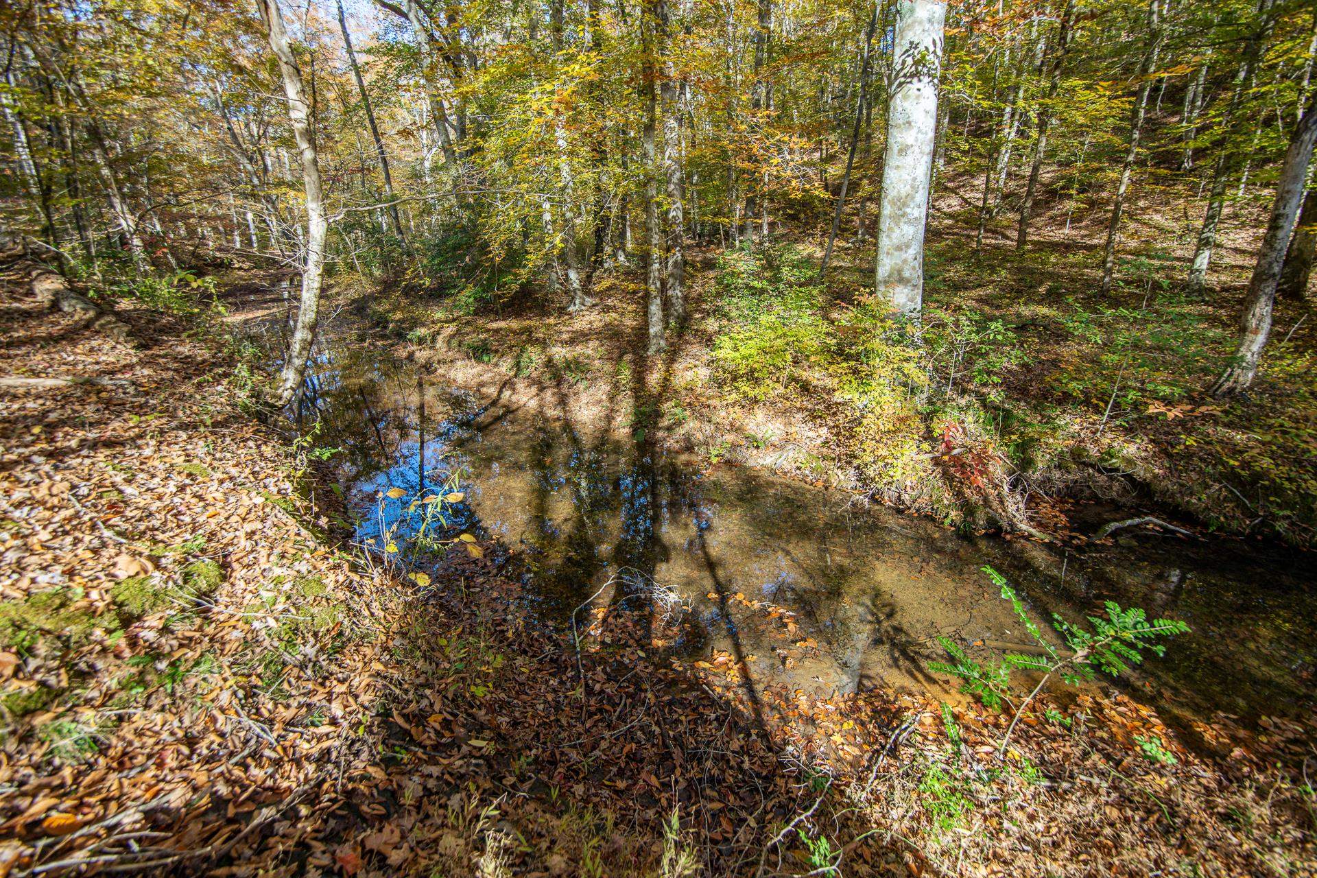 2411 Keazey Hollow Road Waynesboro, TN 38485 - Photo 32 of 34