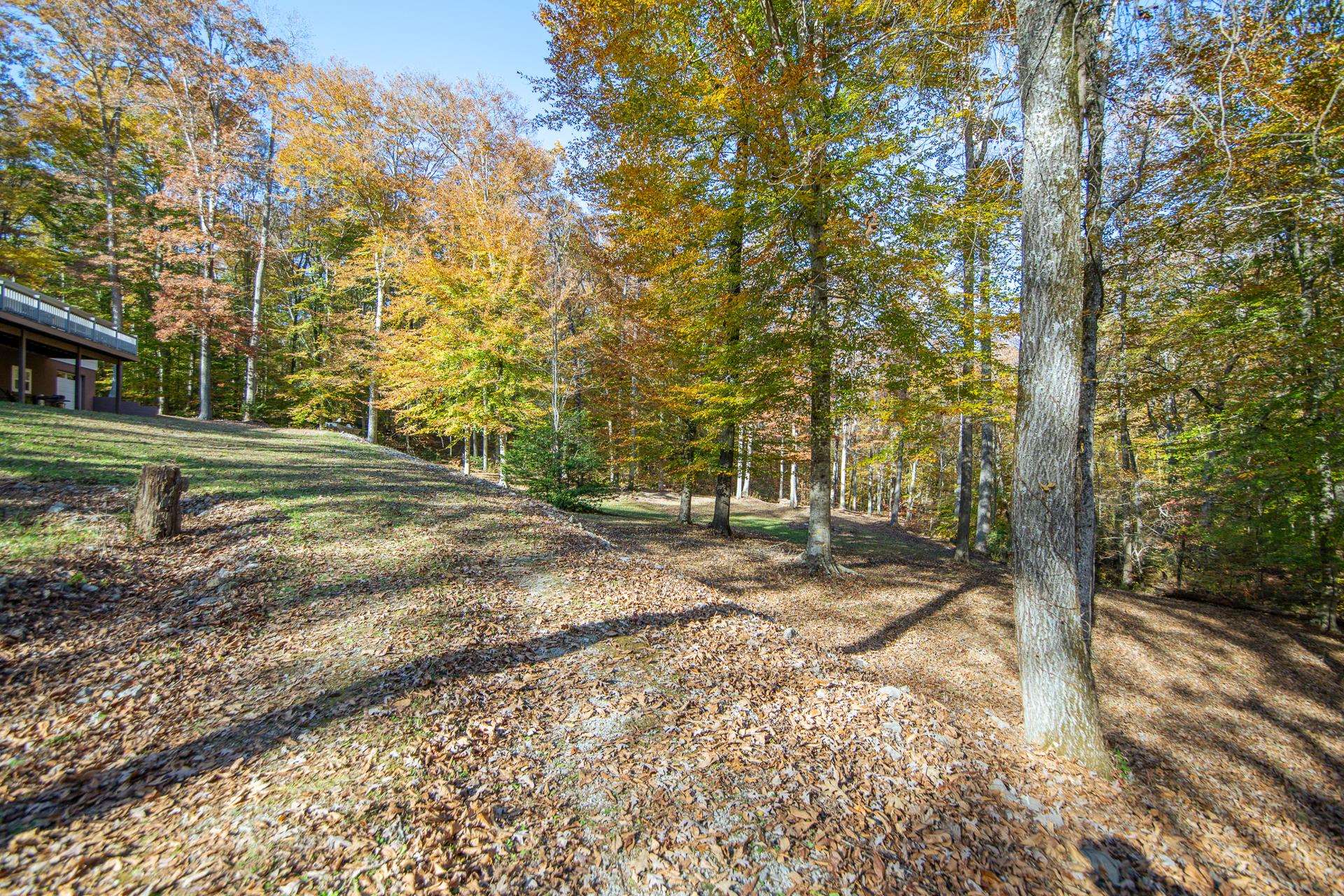 2411 Keazey Hollow Road Waynesboro, TN 38485 - Photo 36 of 38 a view of a yard with an trees