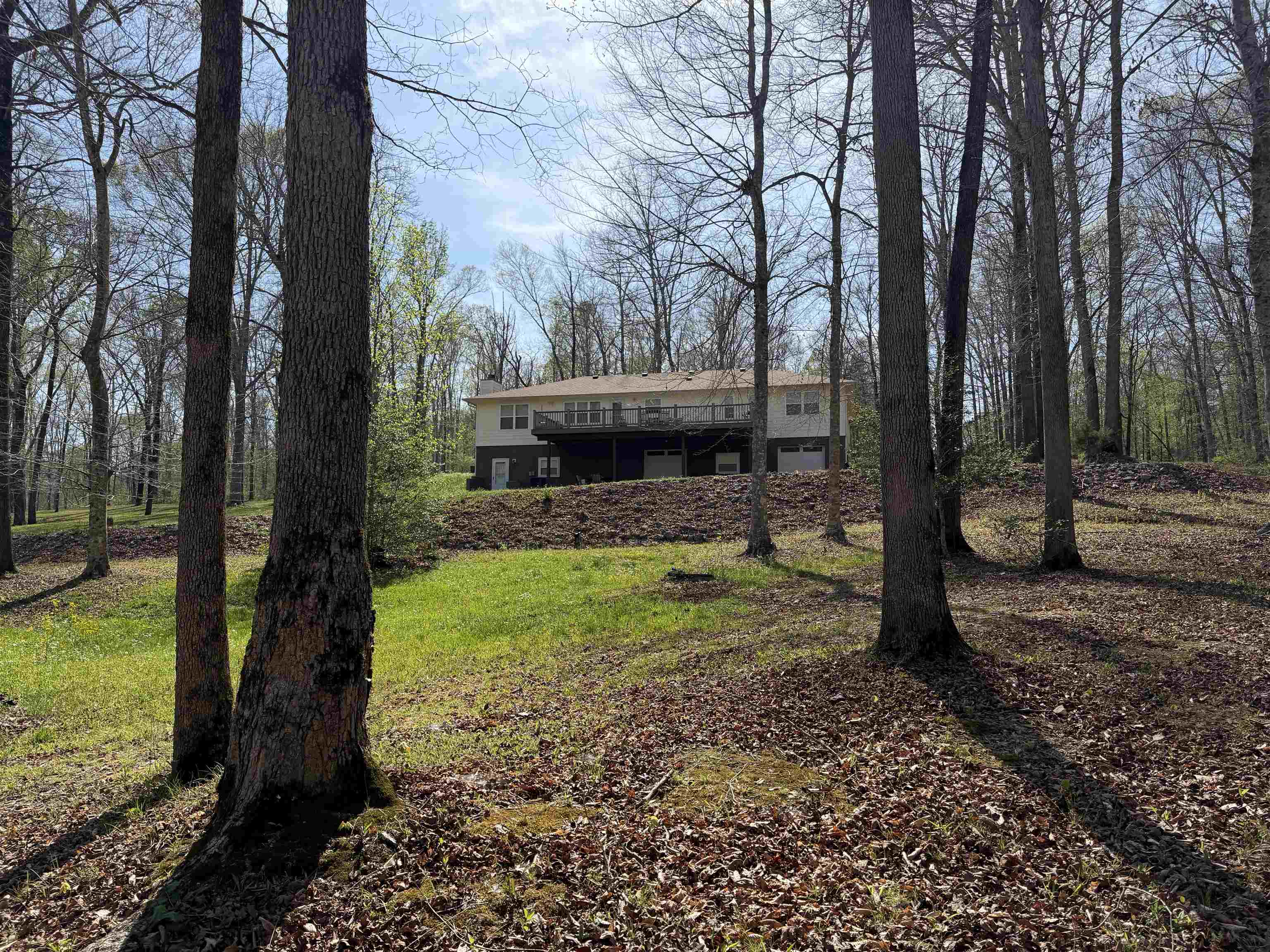 2411 Keazey Hollow Road Waynesboro, TN 38485 - Photo 37 of 38 a view of a garden with large trees