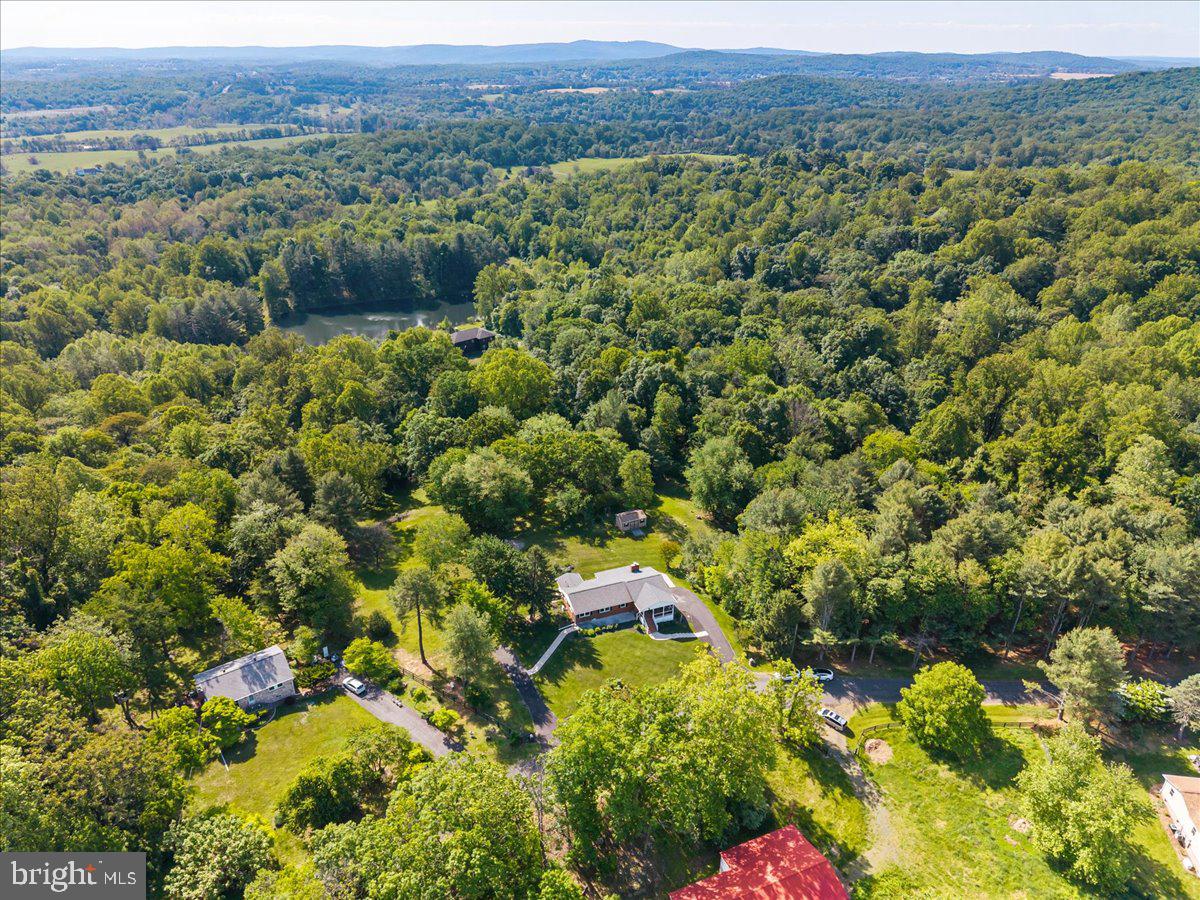 3545 Cobbler Mountain Road Delaplane, VA 20144 - Photo 37 of 37