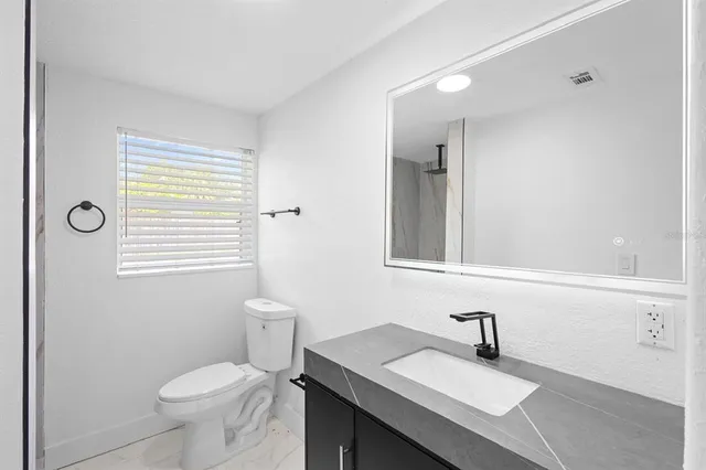 a bathroom with a sink toilet and vanity