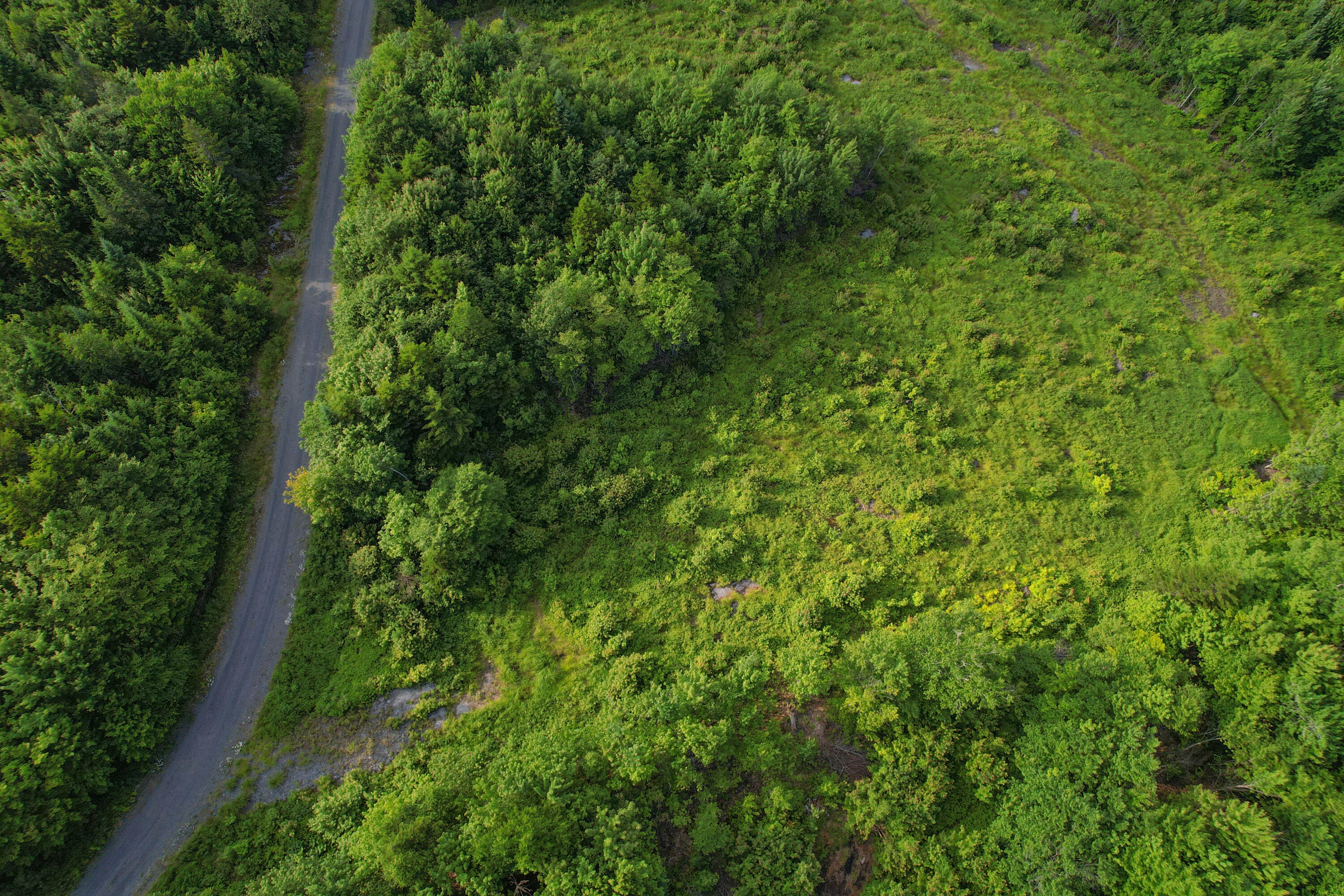 Lot 1 East Ridge Drive Greenville, ME 04441 - Photo 4 of 10 lot1-5