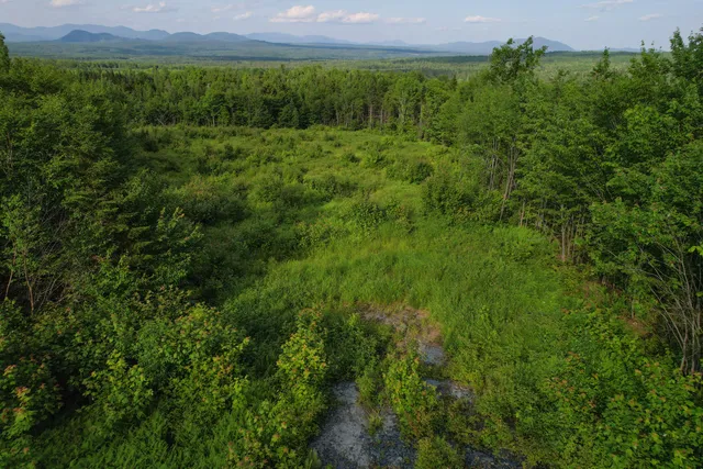 $98,000 | Lot 1 East Ridge Drive, Greenville, ME 04441