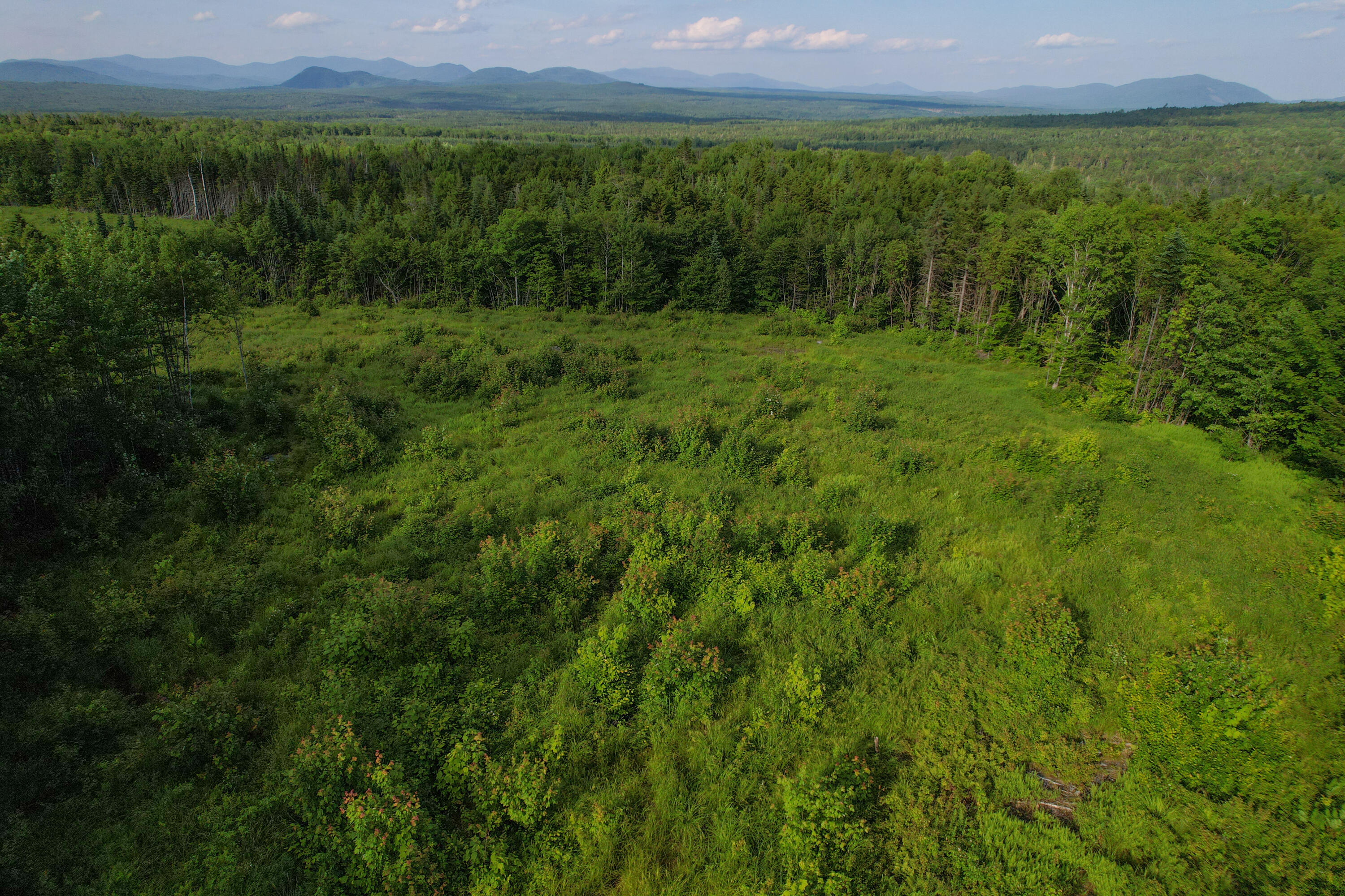 Lot 1 East Ridge Drive Greenville, ME 04441 - Photo 6 of 10 lot1-11
